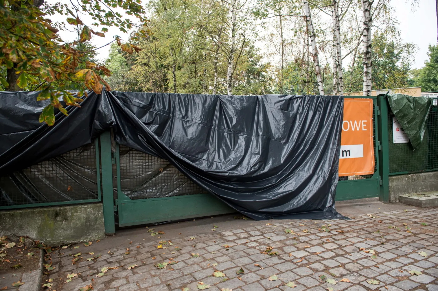 8216082-tragedia-we-wroclawskim-zoo.jpg