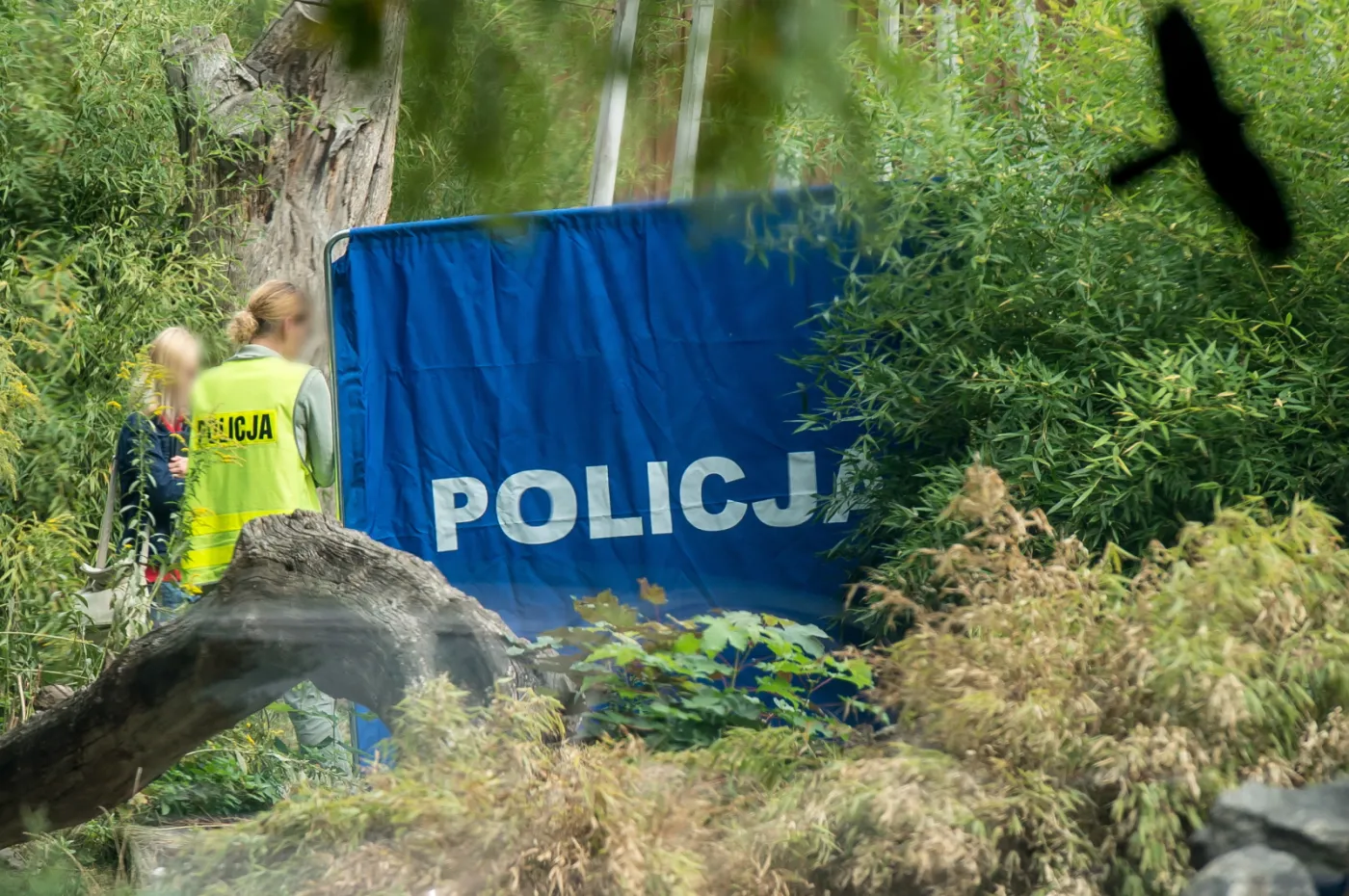 8216117-tragedia-we-wroclawskim-zoo.jpg