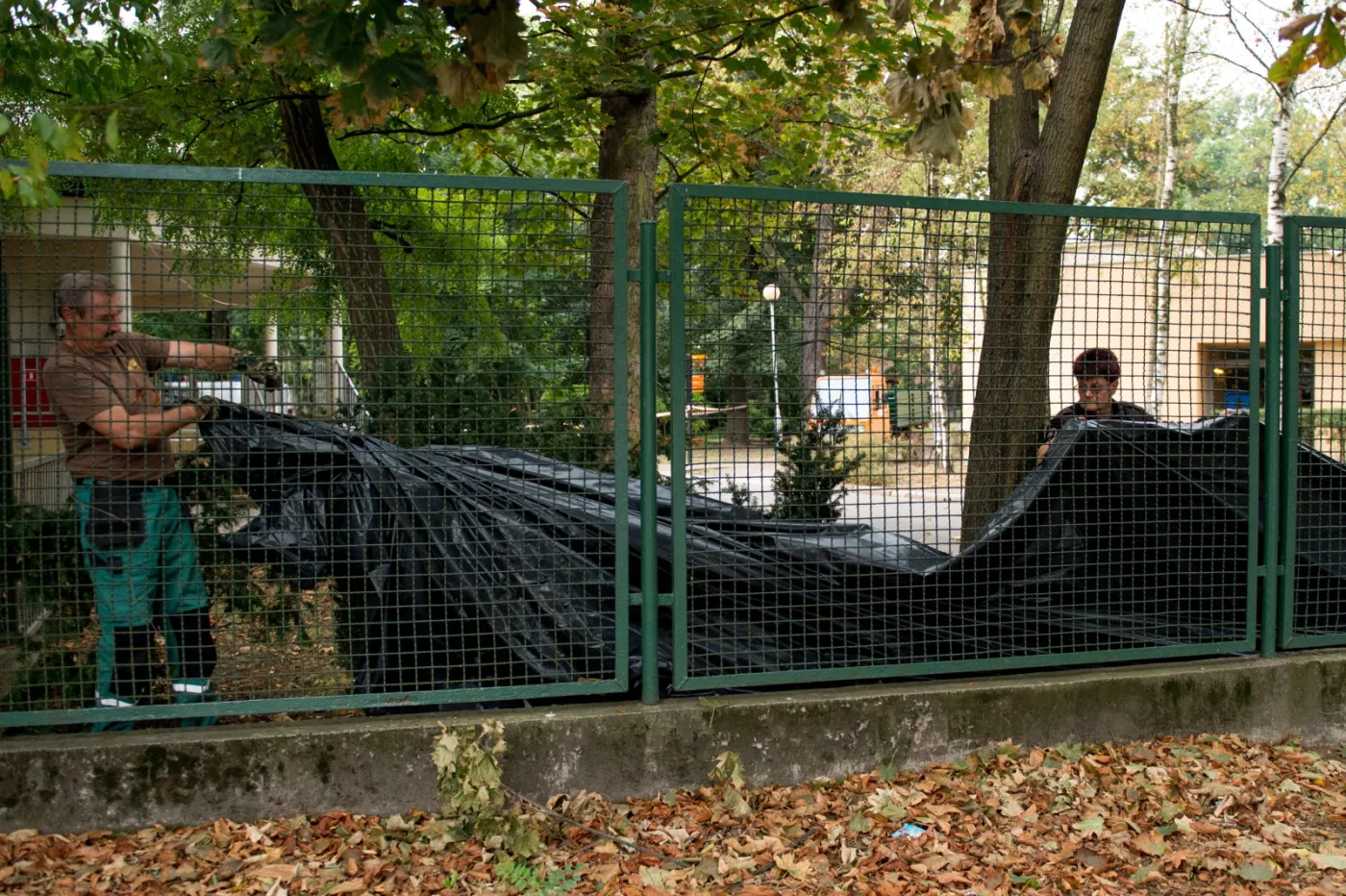 8216153-tragedia-we-wroclawskim-zoo.jpg