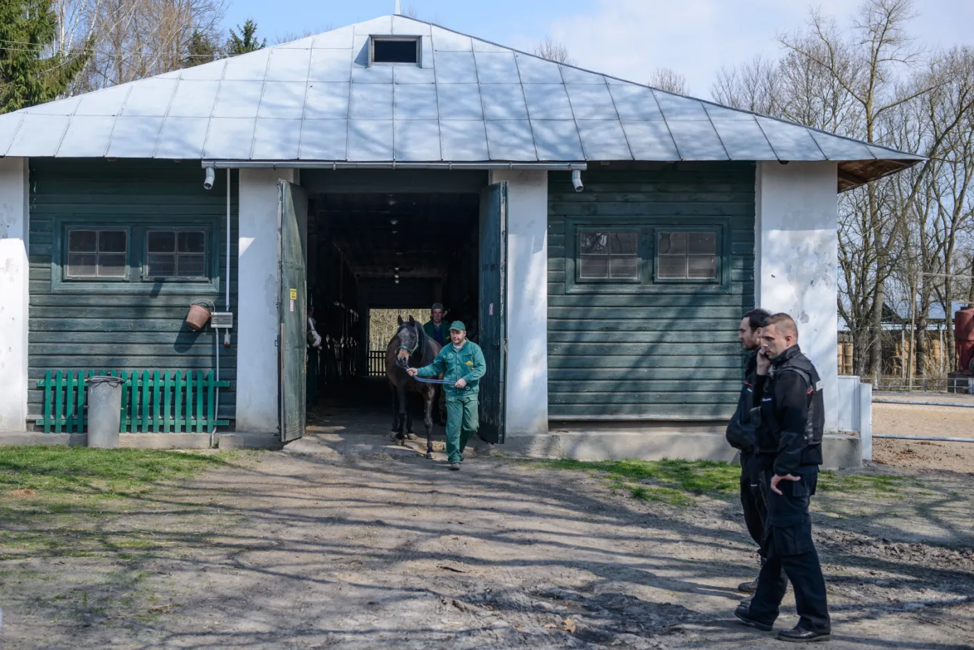 8911657-przygotowania-do-wywozki-koni.jpg