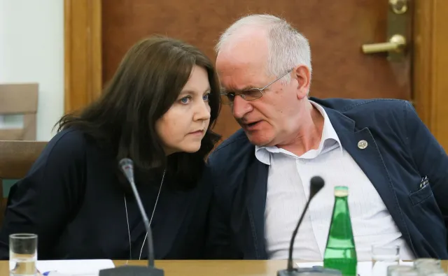Czabański, Kruk i Lichocka wybrani do Rady Mediów Narodowych. Kto kandydatem PO i Kukiz'15?