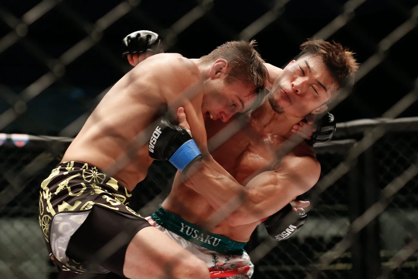9321685-ale-mlocka-mma-to-nie-tylko.jpg