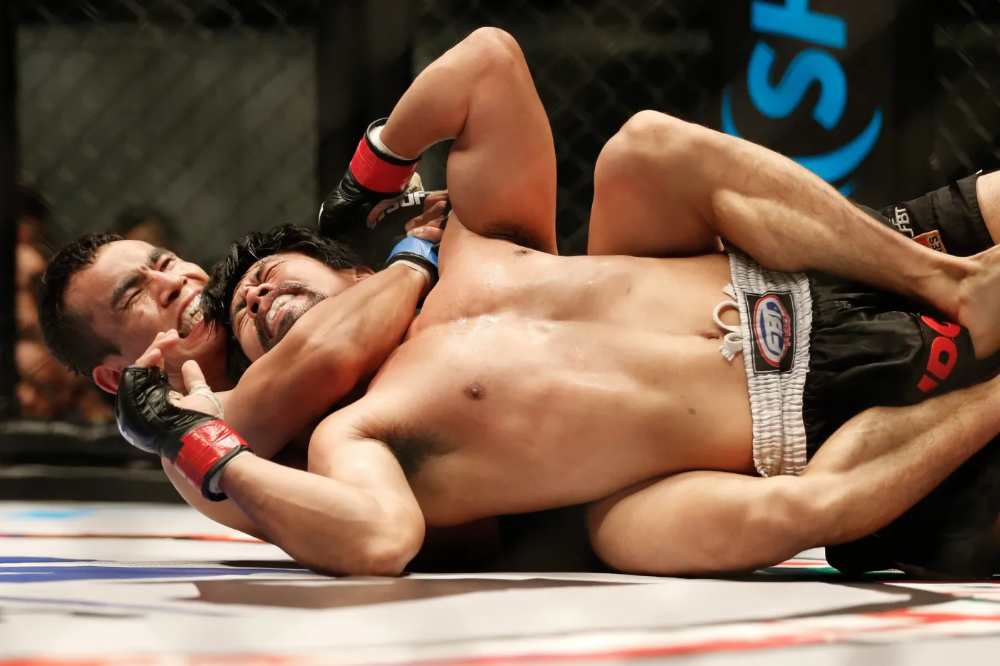 9321781-ale-mlocka-mma-to-nie-tylko.jpg