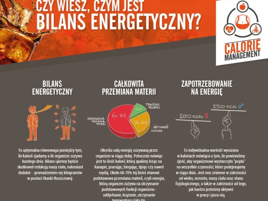 Żeby chudnąć, trzeba jeść! TO należy wiedzieć o bilansie energetycznym organizmu. WIDEO