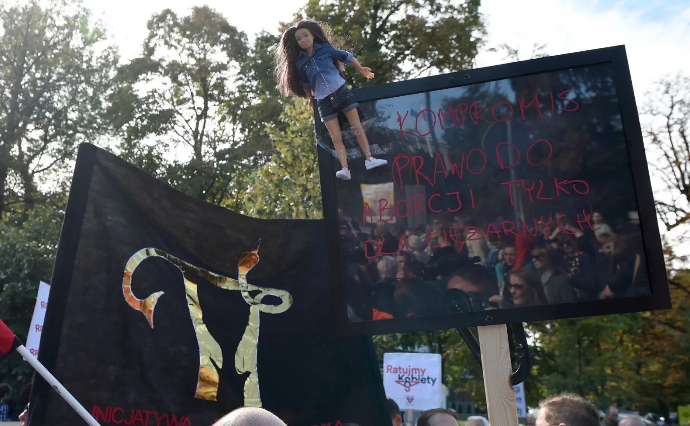 9454263-demonstracja-ani-kroku-dalej.jpg