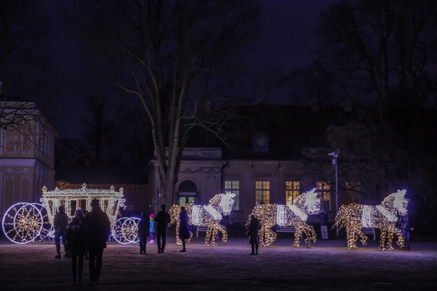 9966071-v-krolewski-festiwal-swiatla.jpg