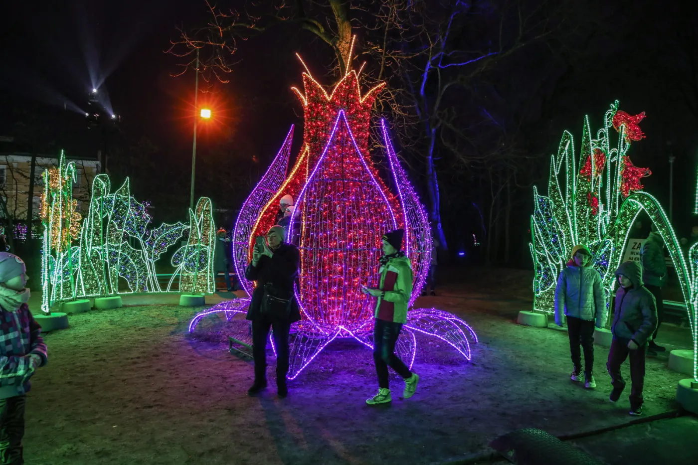 9966135-v-krolewski-festiwal-swiatla.jpg
