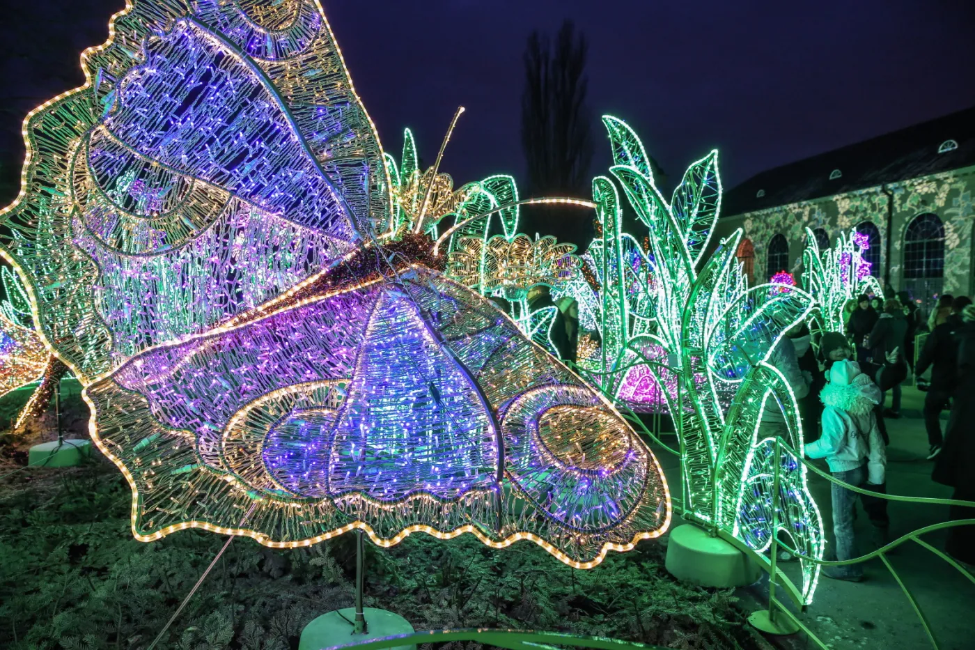 9966295-v-krolewski-festiwal-swiatla.jpg