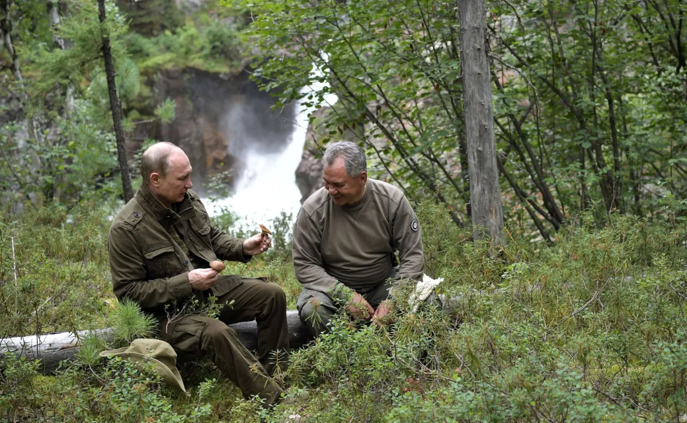 10357036-wladimir-putin-na-grzybach.jpg