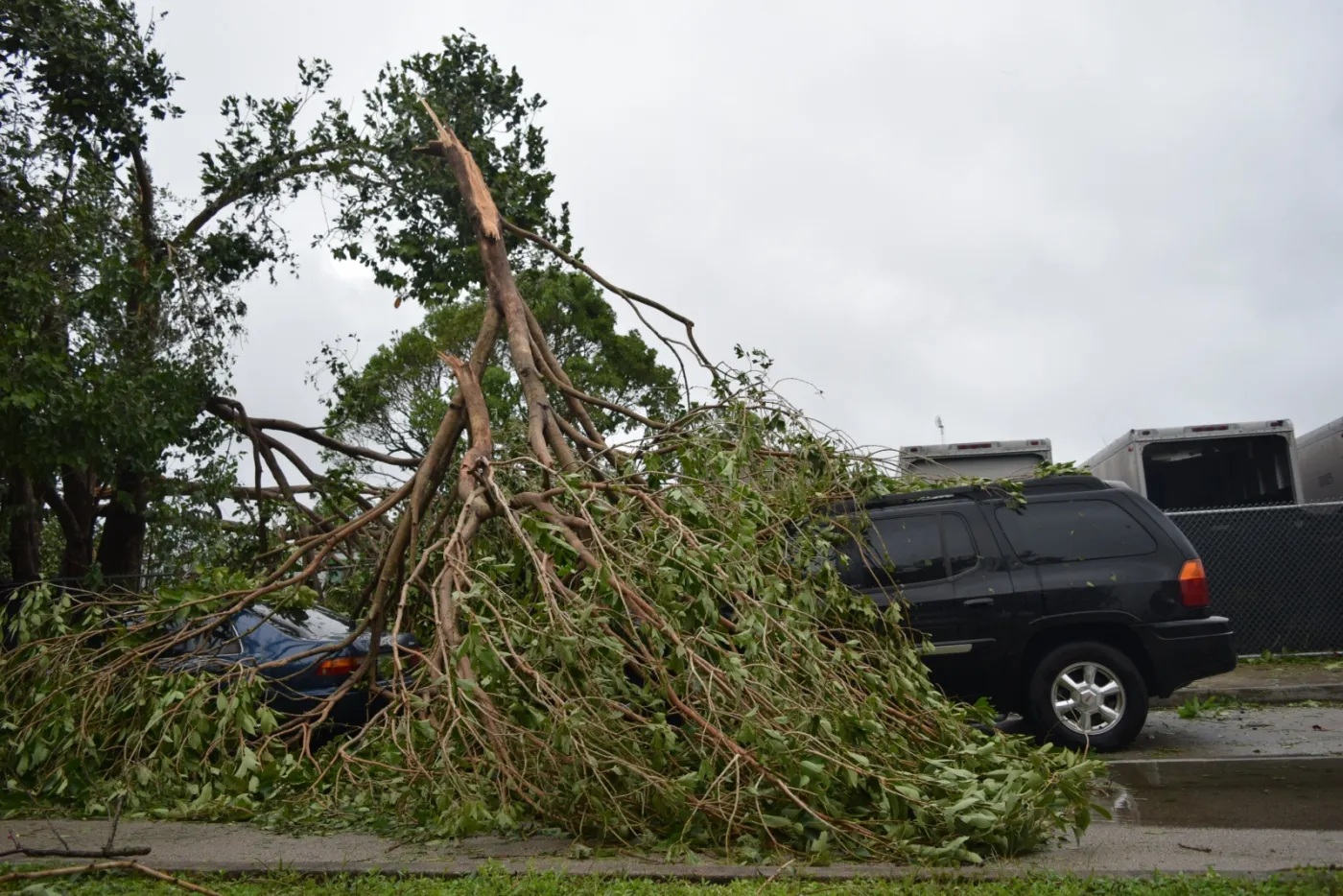10428217-irma-przeszla-przez-miami.jpg