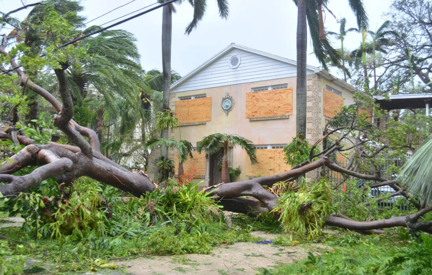 10428438-irma-przeszla-przez-miami.jpg