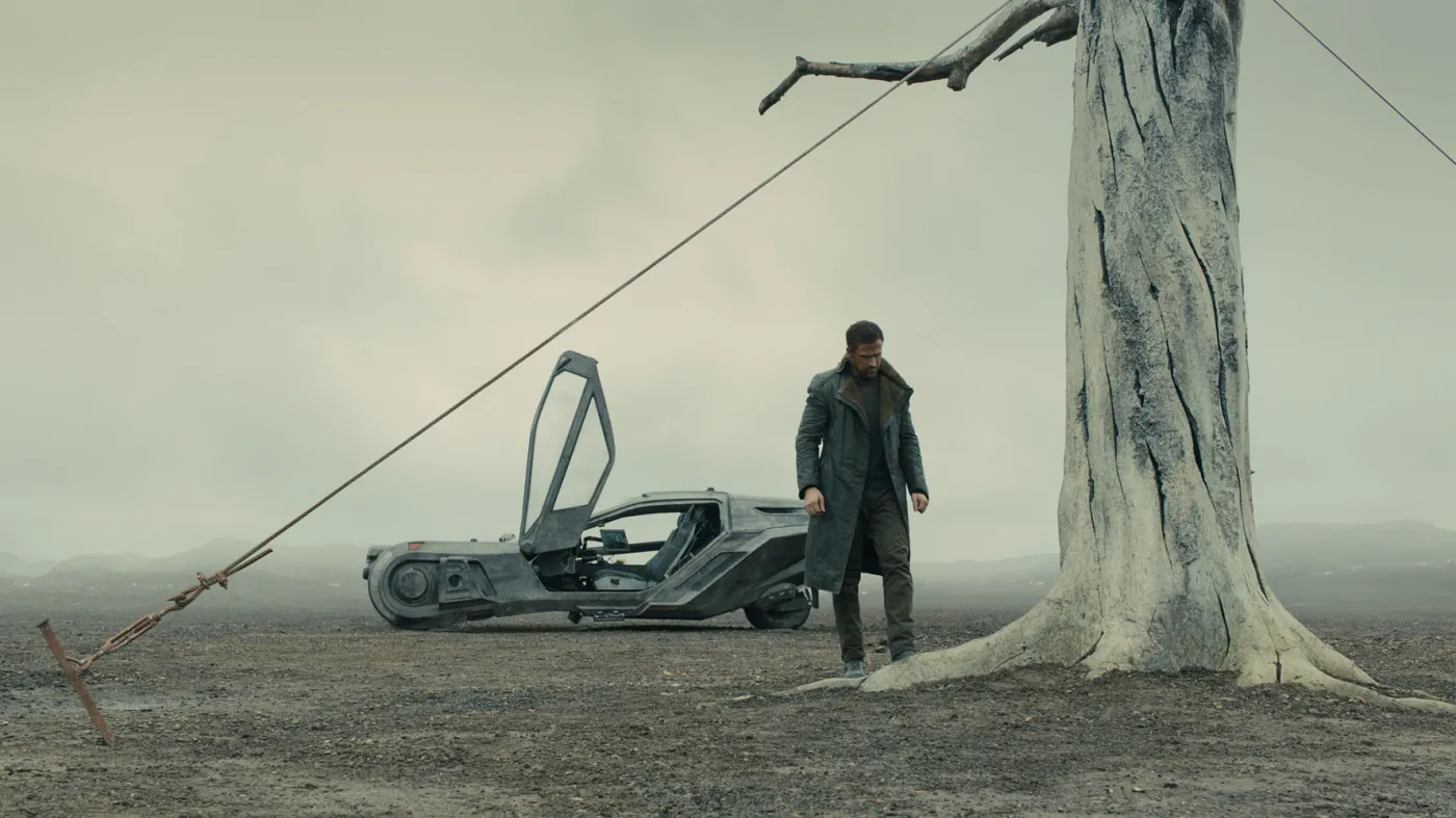 10476310-blade-runner-10-a20d23f6c5.jpg