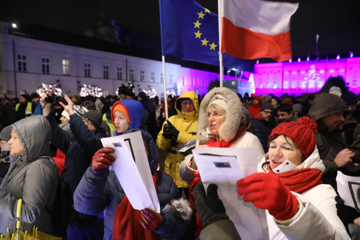 10657181-protest-przeciwko-reformie.jpg