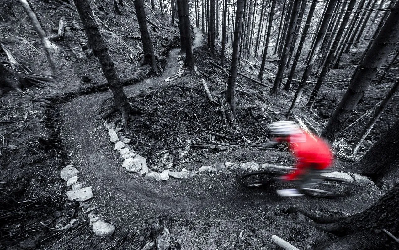 11023507-singletrek-pod-smrkem-fot.jpg