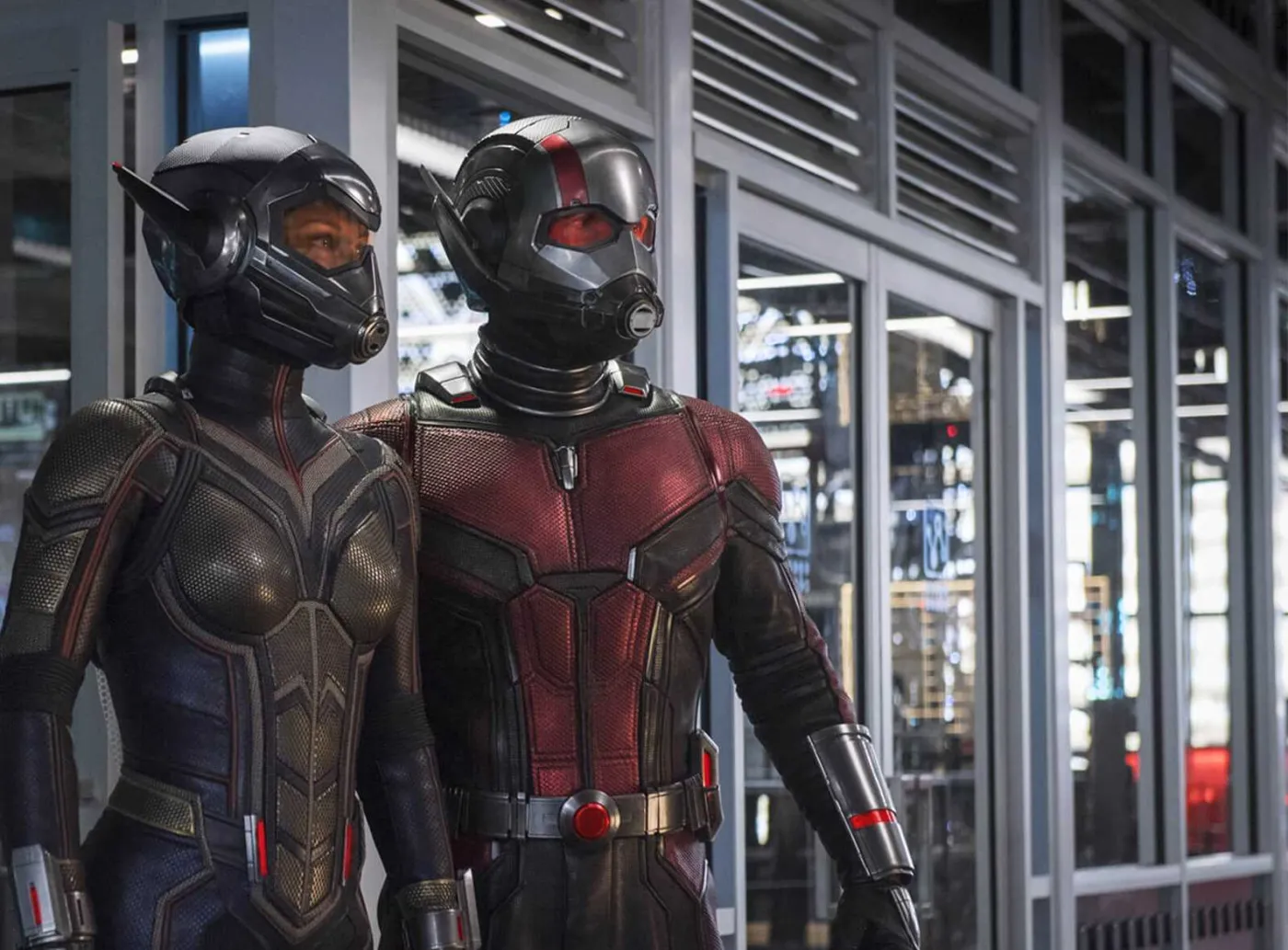 Kadr z filmu "Ant-Man i osa"