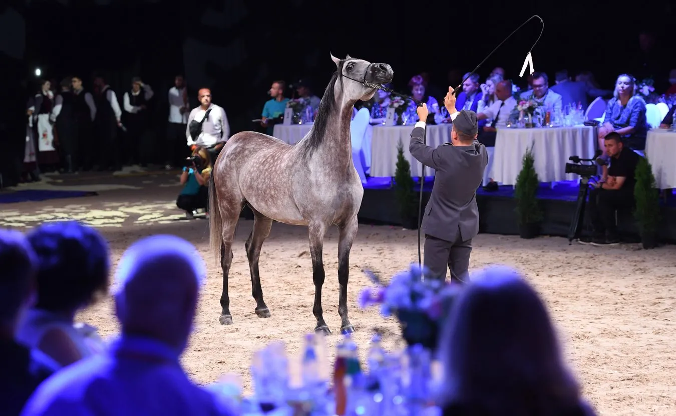 Aukcja "Pride of Poland", 2018 r. 