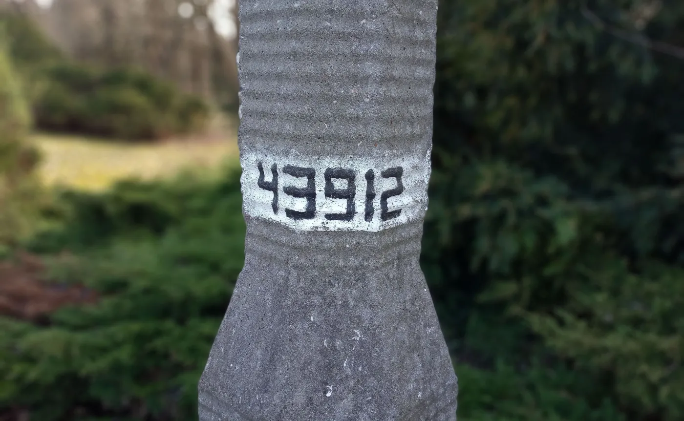 Zdjęcie wykonane Neffosem X9