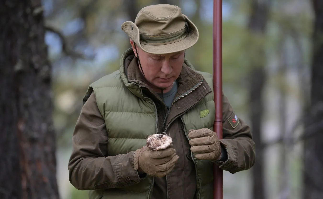 Władimir Putin zbiera grzyby