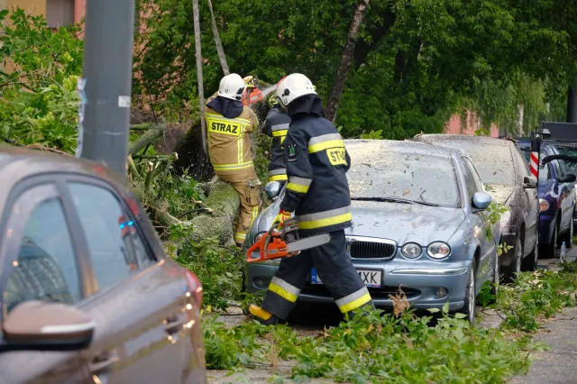 Gwałtowne burze nad Polską. Przewrócone drzewa i zalane piwnice [ZDJĘCIA]