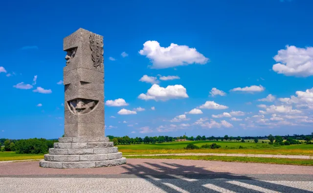 Szczątki rycerzy spod Grunwaldu od lat leżą w kartonach. Nie ma pieniędzy na ich przebadanie