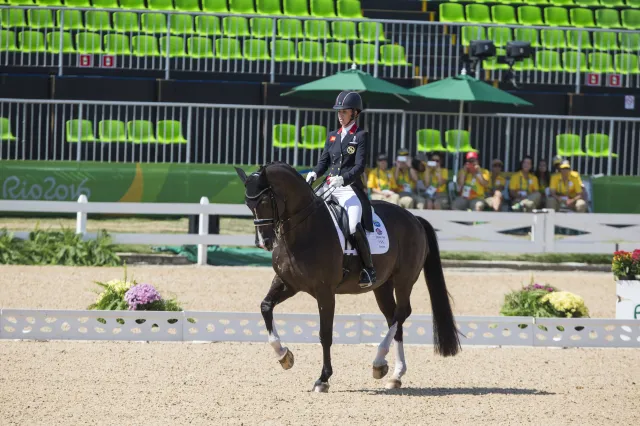 Koń Valegro będzie miał pomnik. Wygrał niemalże wszystkie prestiżowe zawody