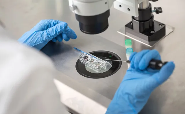 Tysiące dzieci dzięki in vitro z samorządu