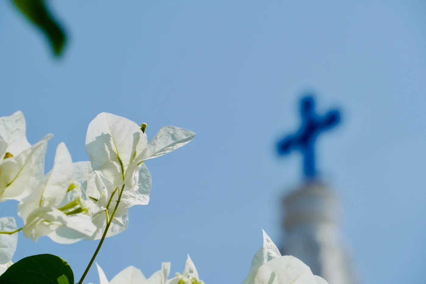 Francuscy biskupi uznali "instytucjonalną odpowiedzialność" Kościoła za pedofilię