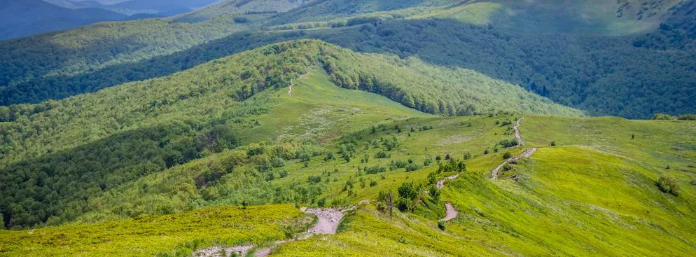 Liczba rezerwacji spada, jednak ceny zachęcają do podróży