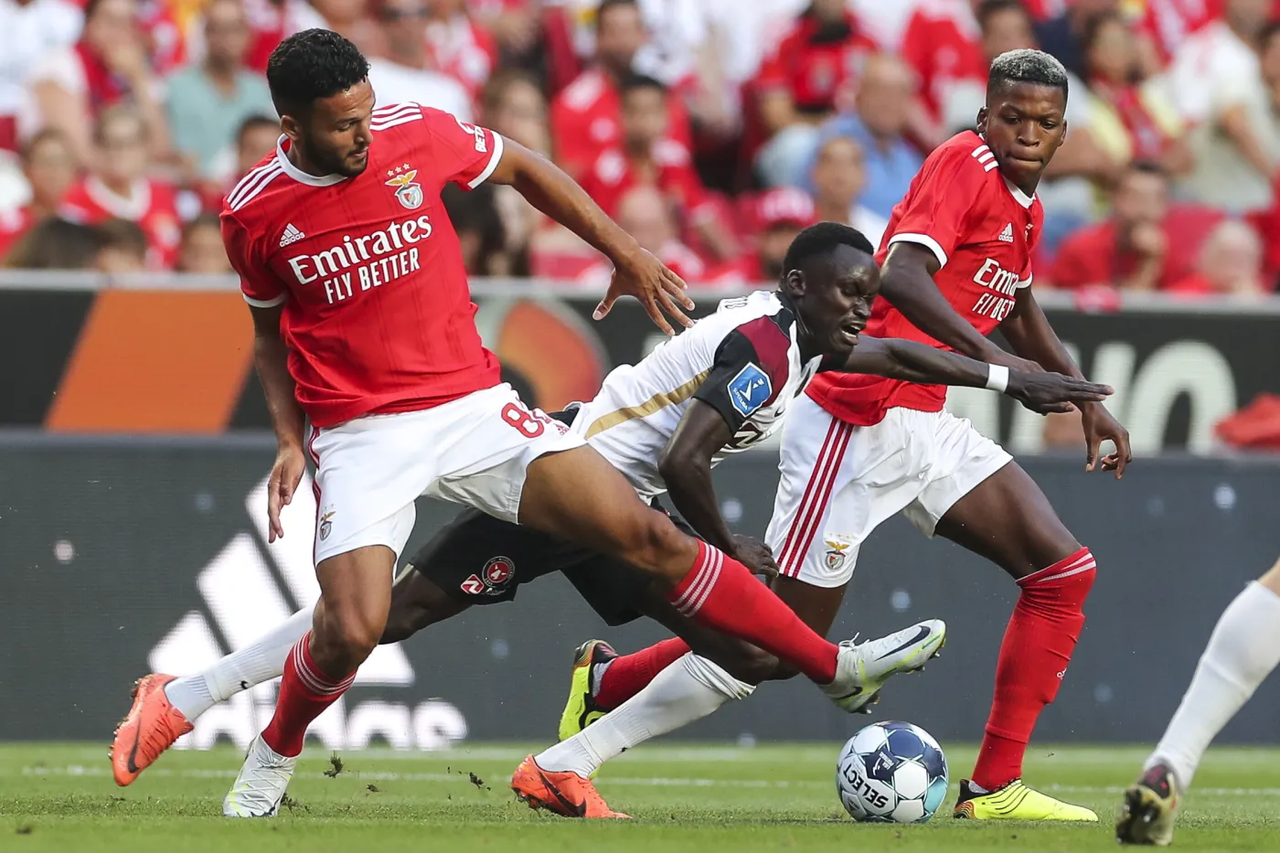 Porażka drużyny Piotrowskiego. Benfica przesądziła kwestię awansu