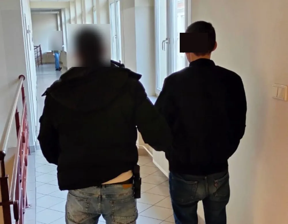 Uderzył matkę, zabił psa