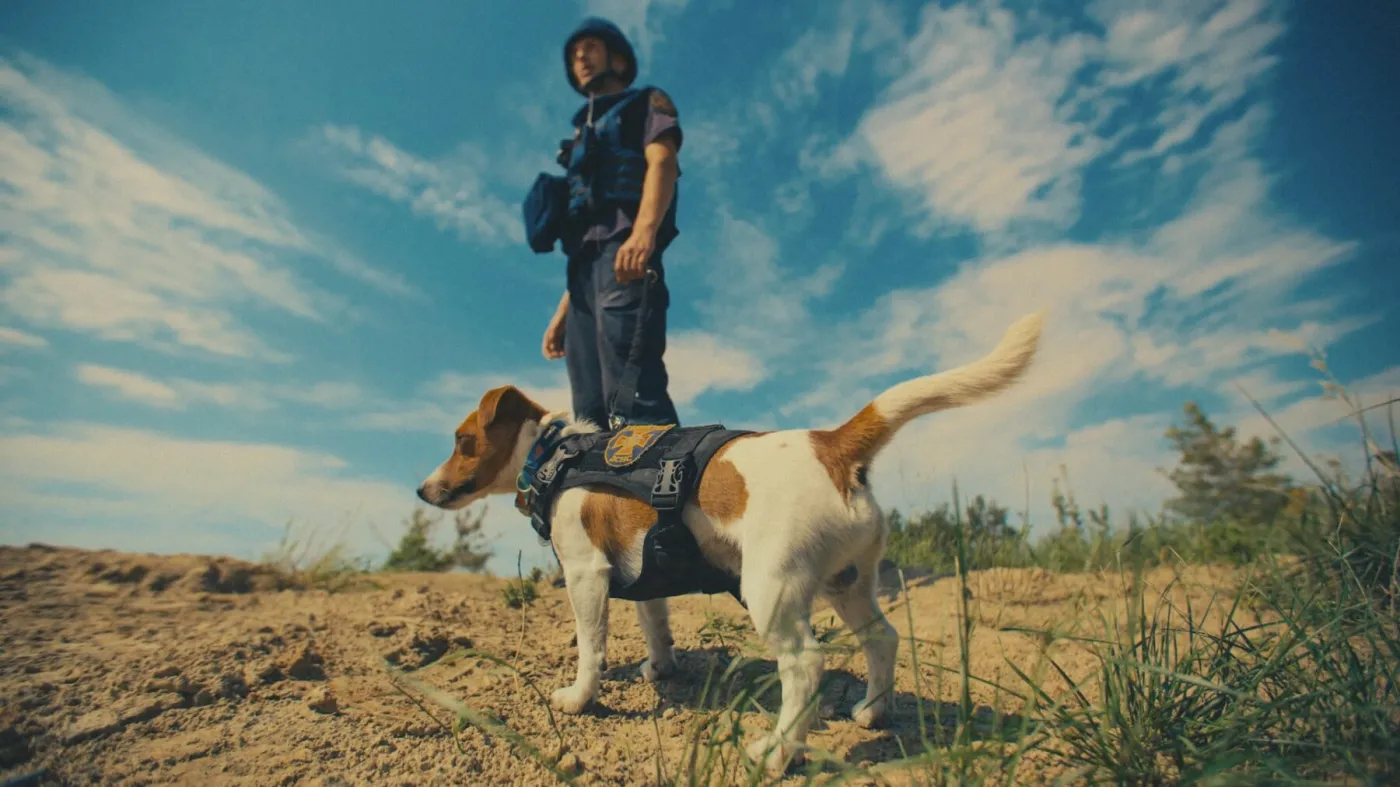 "My, nasze zwierzęta i wojna"