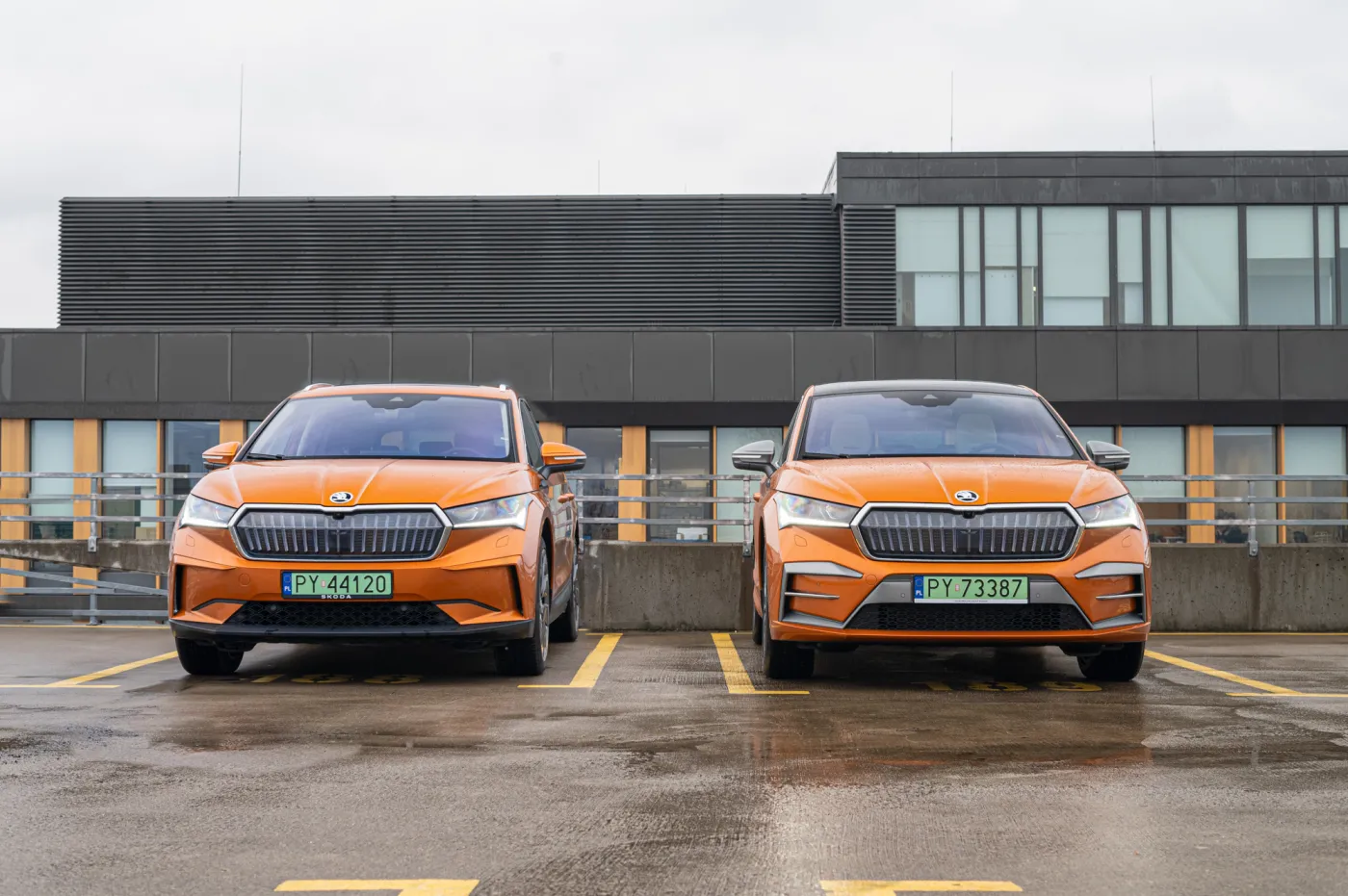 Nowa Skoda już w Polsce. Jakie różnice? Czesi mają przepis na sukces