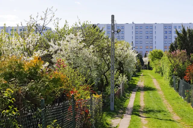 Ogródki działkowe pod młotek. Obietnica okazała się "zagrywką urzędniczą"