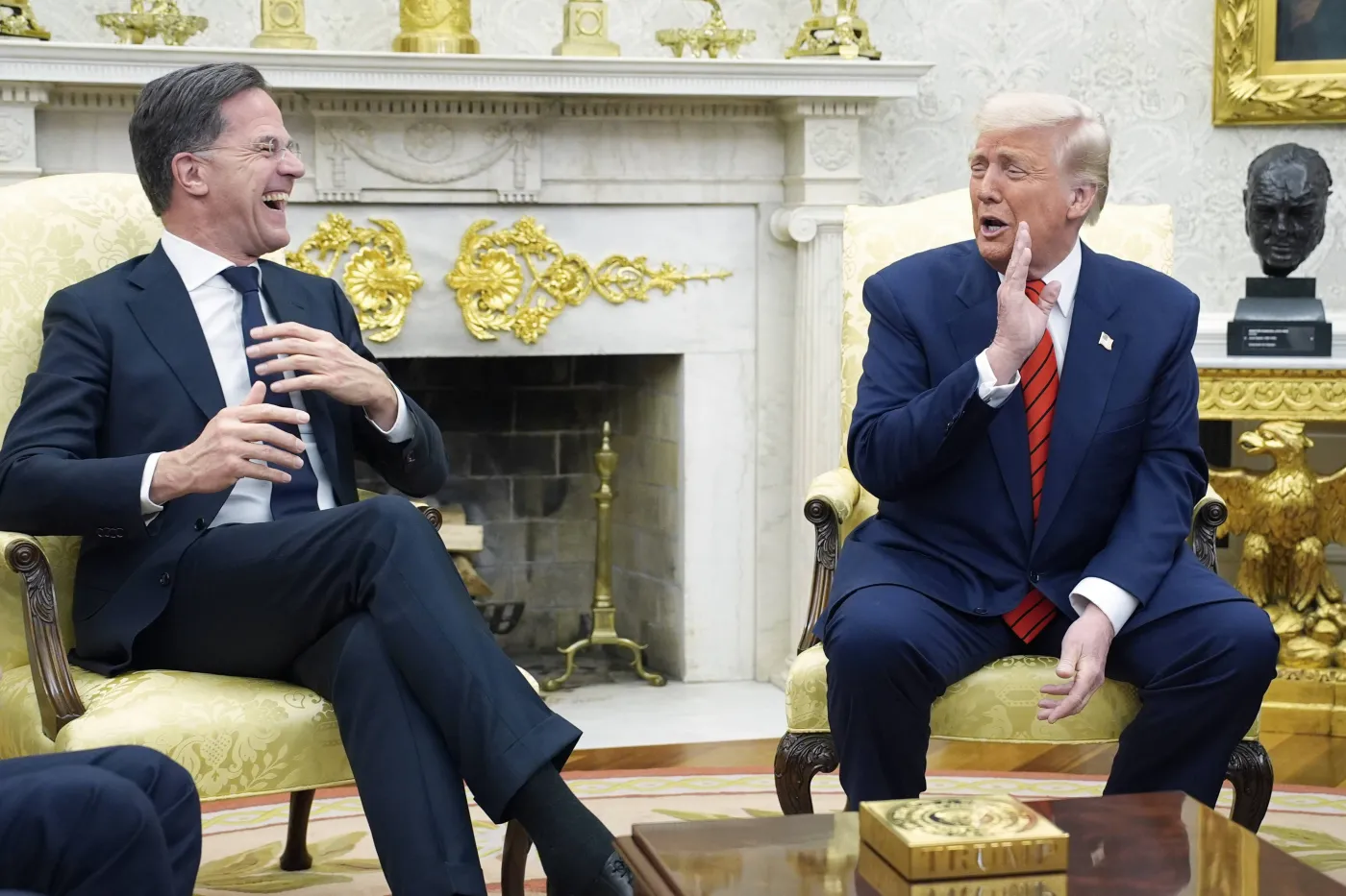 Niemcy pod wrażeniem taktyki szefa NATO. "Bezwstydne schlebianie dało efekty"