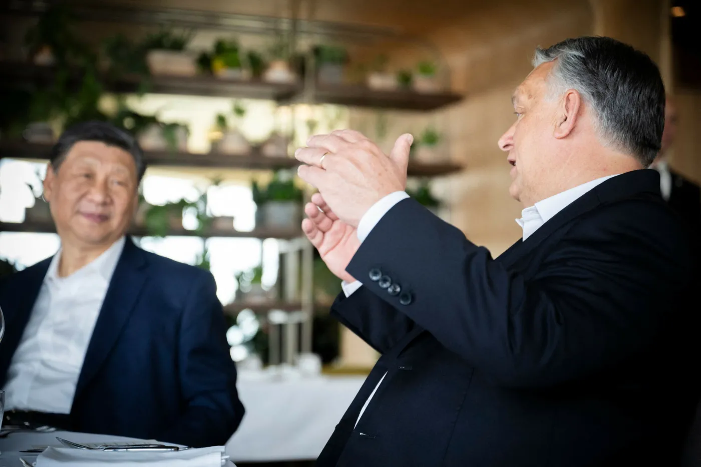 Xi Jinping i Viktor Orban