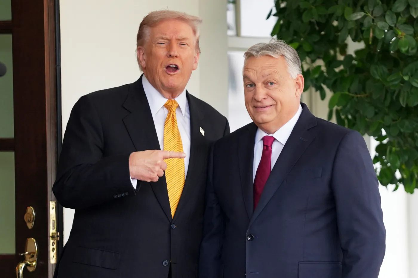 Poparcie od Trumpa to pocałunek śmierci? "Uciekać, gdzie pieprz rośnie"