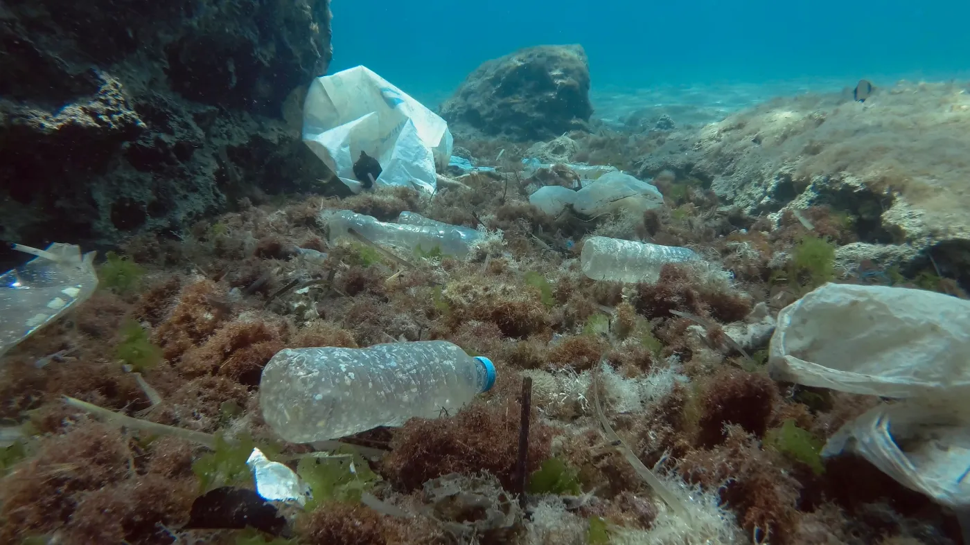 Zanieczyszczenia, plastik, Morze Śródziemne