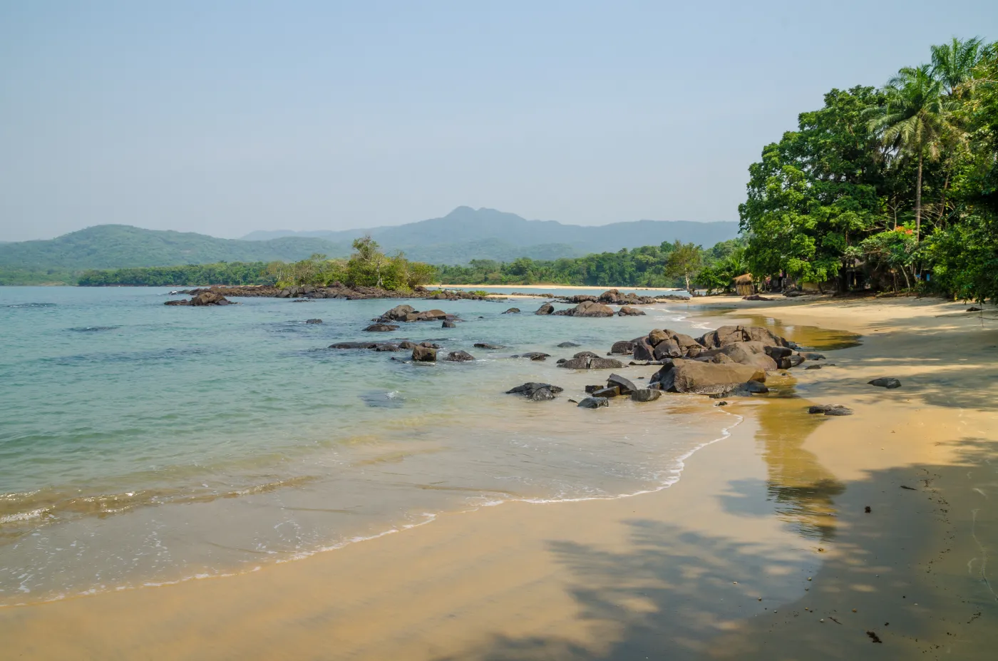 Chiny zbudują port w miejscu lasu deszczowego w Sierra Leone. "To katastrofa ekologiczna"