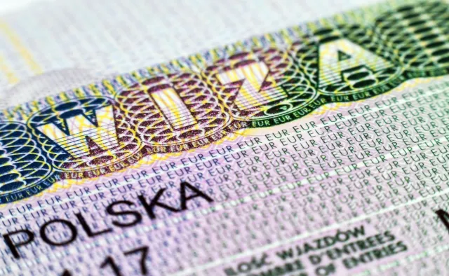 Wybory 2023: Czy afera wizowa będzie miała wpływ na notowania PiS? [SONDAŻ DGP]