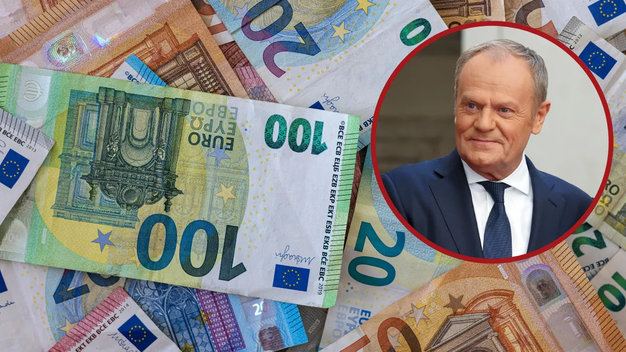 Donald Tusk, euro