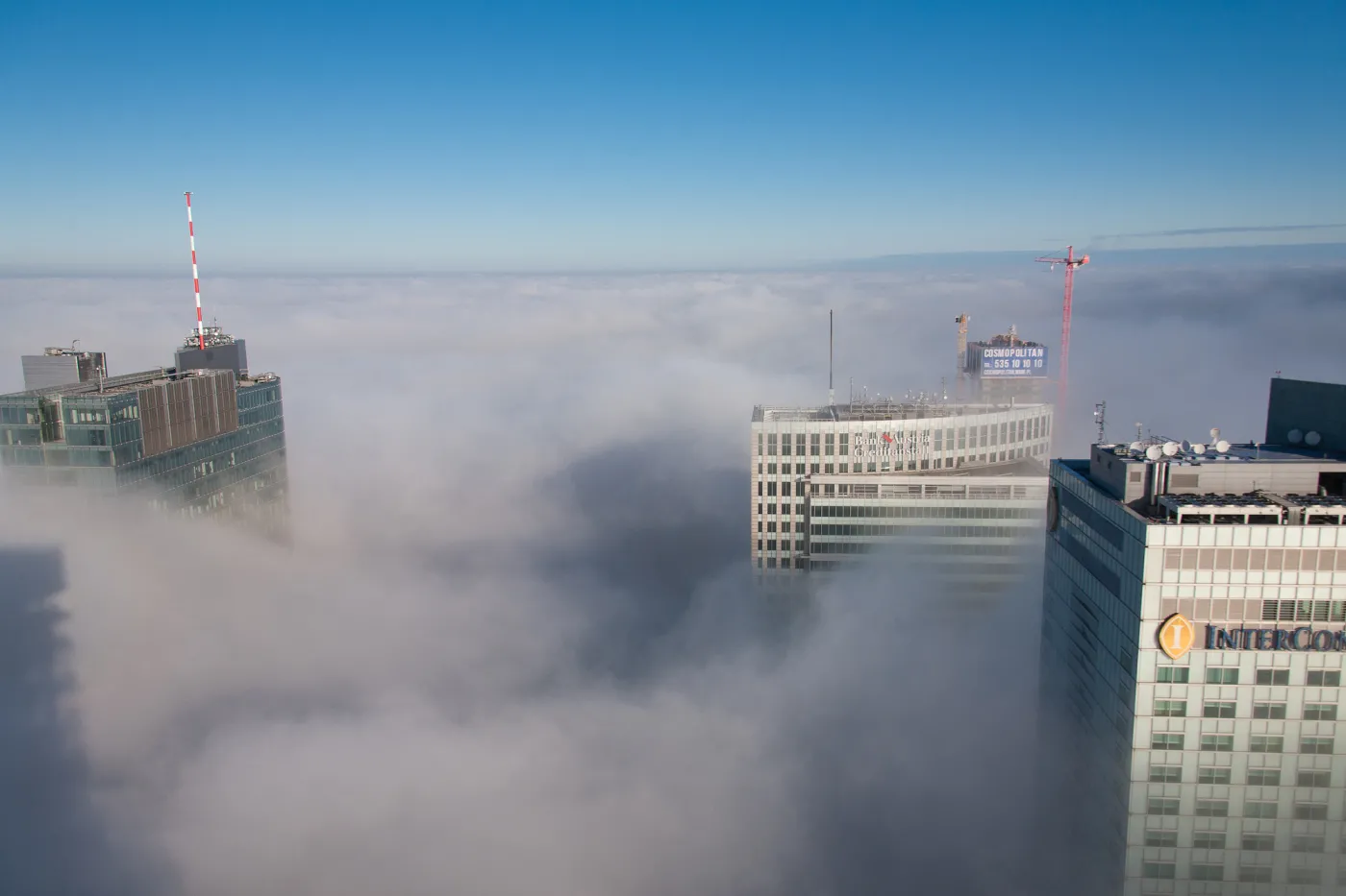 1078602-7.jpg