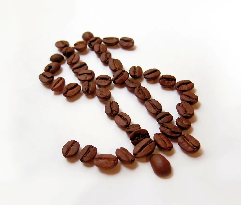 Gospodarczy przegląd prasy Forsal.pl - 15.07.2013