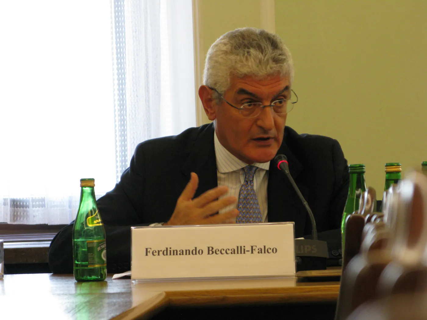 1466497-ferdinando-nani-beccalli-falco.jpg