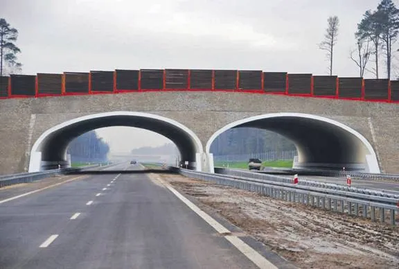 1663523-estetyczne-przejscie-dla-zwierzat.jpg