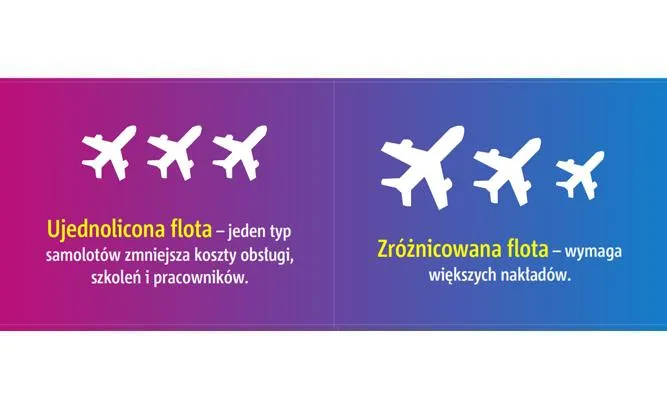 Flota samolotów