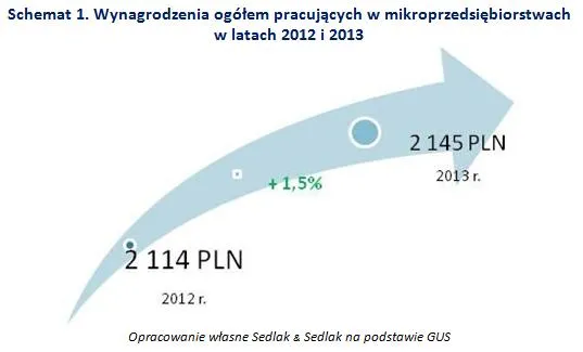 Ile zarabia się polskich mikrofirmach?