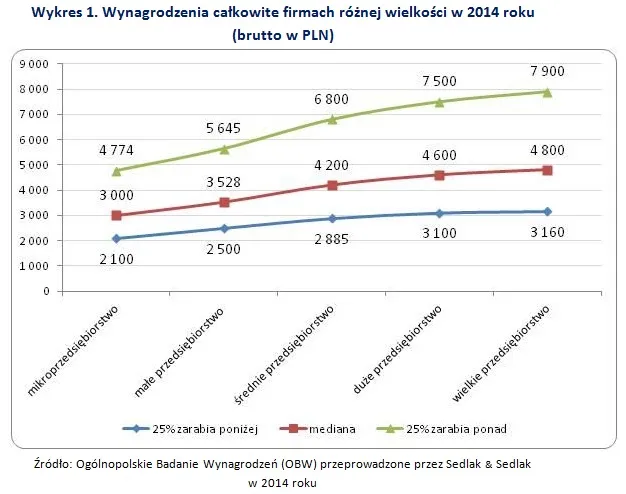 Większa firma - większe zarobki? Zobacz, jak rozmiar przedsiębiorstwa wpływa na wynagrodzenia