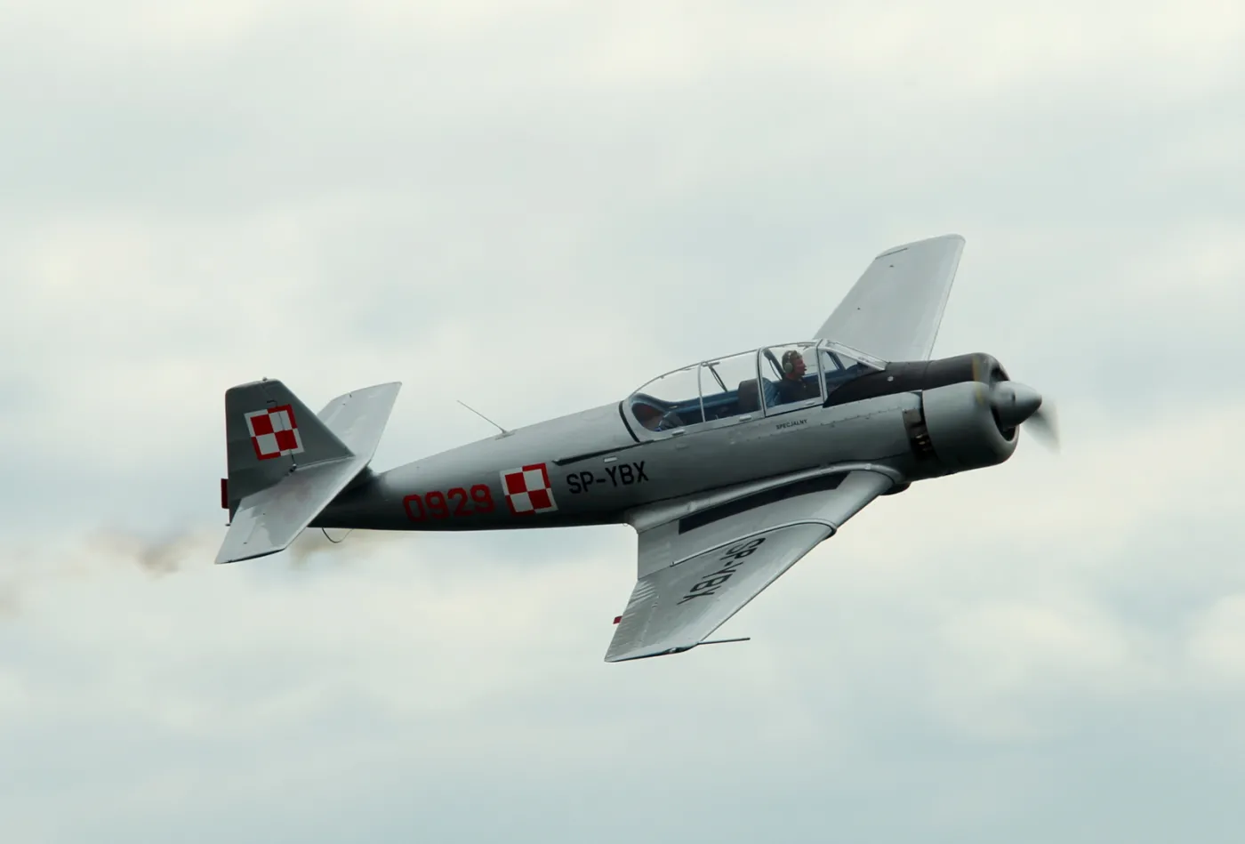 2264367-zabytkowy-polski-mysliwiec-bies.jpg