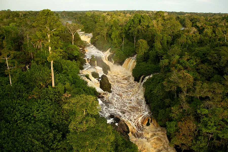 Protest leśników z parków narodowych. Domagają się zmian systemowych