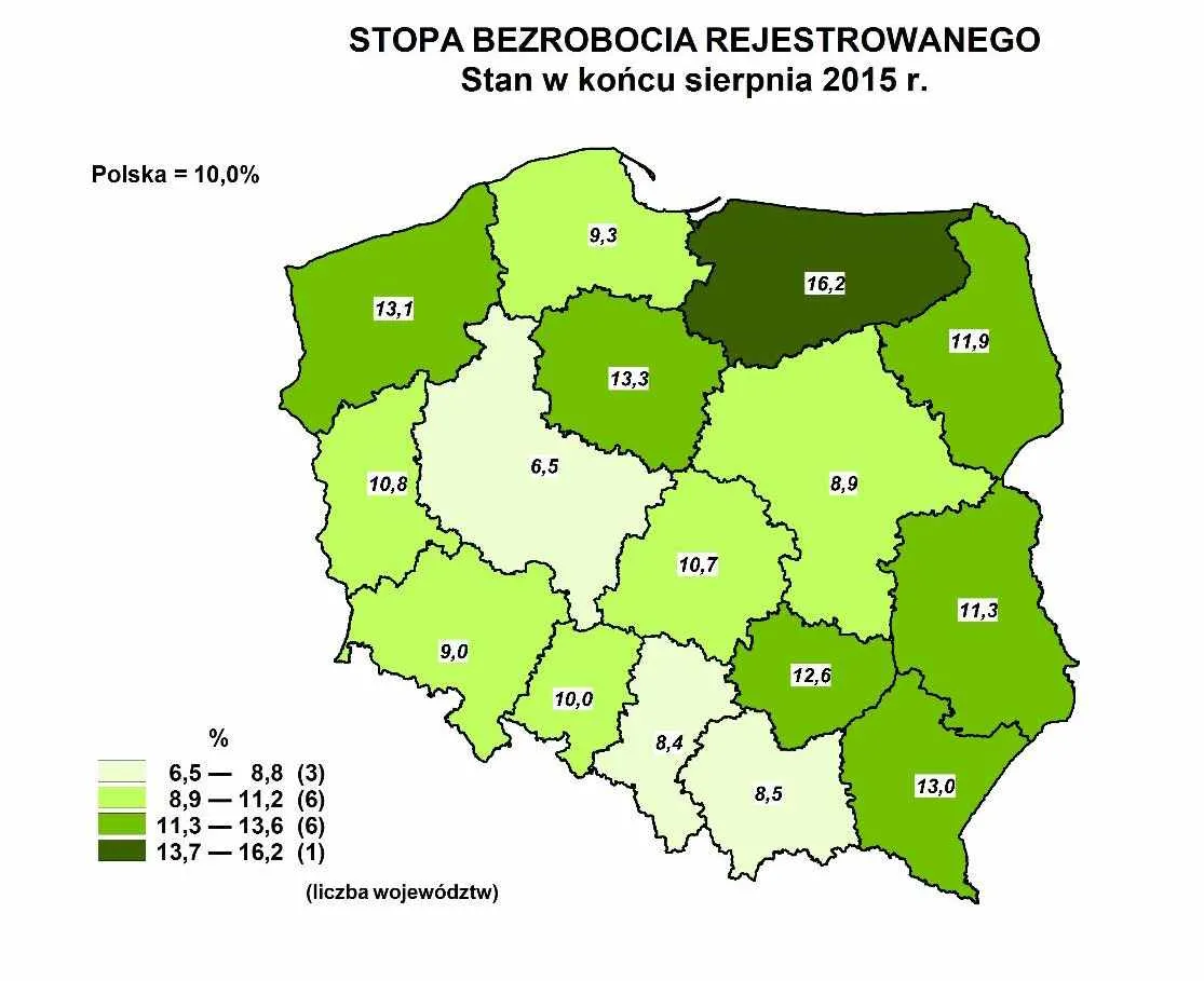Coraz mniej bezrobocia w Polsce. Zobacz najnowsze dane GUS
